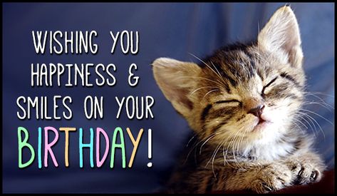 a6dd6fc2582c16df9930214991245c34--happy-birthday-cats-happy-birthday-quotes.jpg