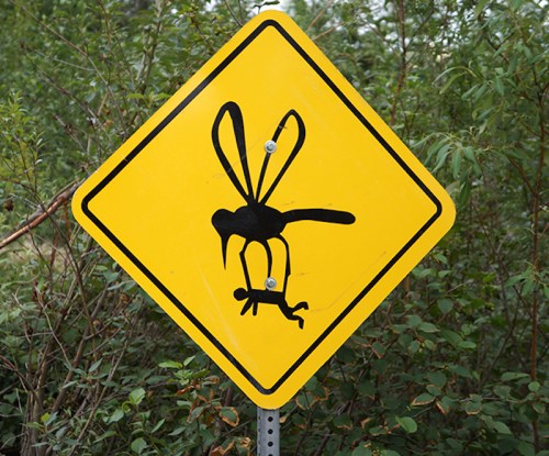Alaska-Mosquito-Sign.jpg