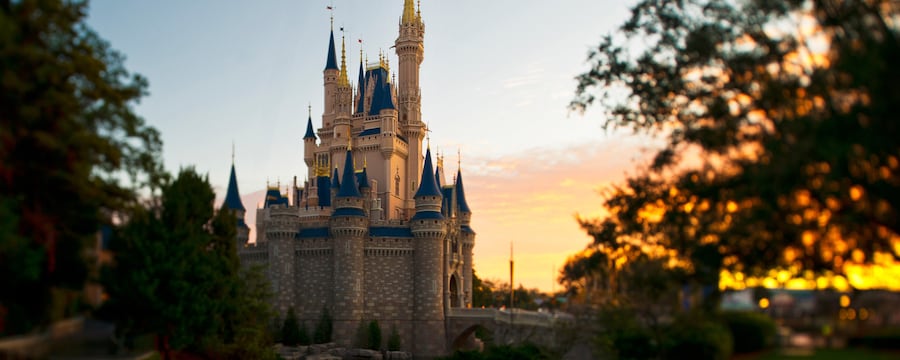 magic-kingdom-castle-5x2.jpg