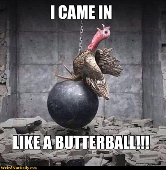 best-thanksgiving-memes.jpg